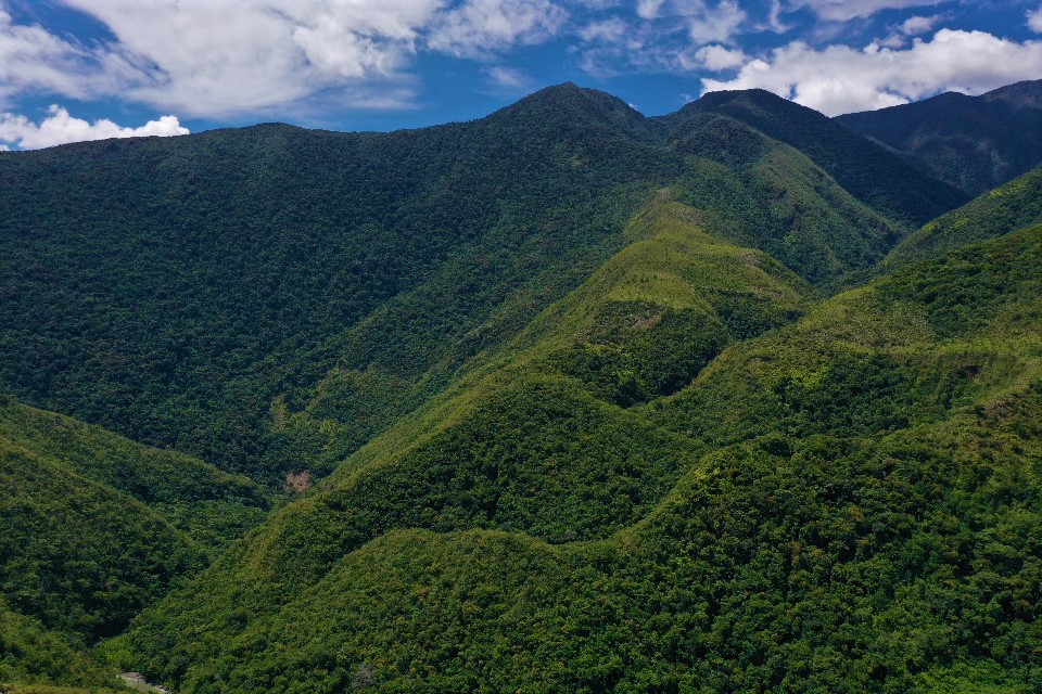 Les Yungas
