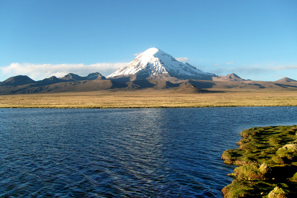 Sajama 2D/1